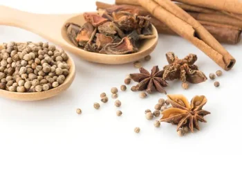 Mengenal Ngohiong, Bumbu Masakan Tiongkok yang Memadukan 5 Rempah