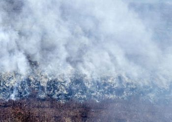Bahaya Karhutla Riau, Modifikasi Cuaca Dilaksanakan Pekan Ini