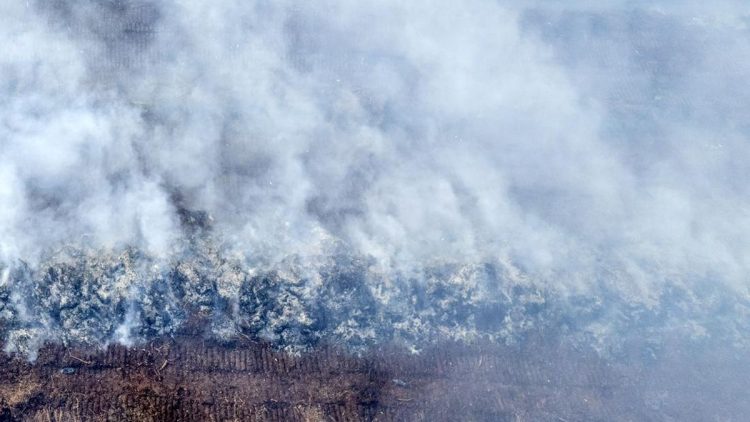 Bahaya Karhutla Riau, Modifikasi Cuaca Dilaksanakan Pekan Ini