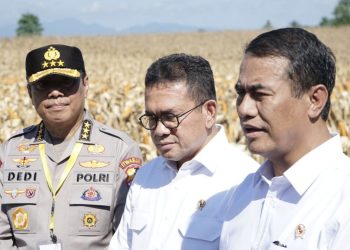 Kasus Beras Oplosan Membawa Manfaat untuk Penggilingan Kecil