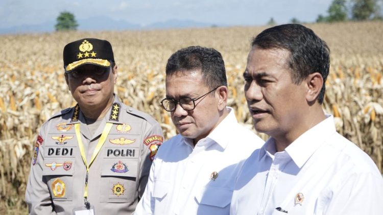 Kasus Beras Oplosan Membawa Manfaat untuk Penggilingan Kecil