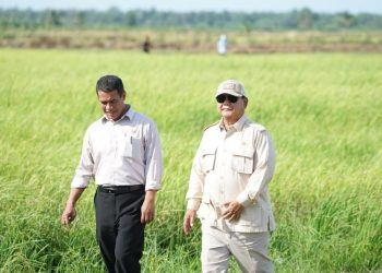 Mentan Klarifikasi Setelah Dikecam Terkait Kenaikan Harga Beras di Jepang