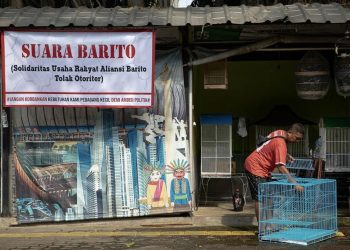 Surat Resmi Belum Datang, Pedagang Hewan Barito Putuskan untuk Bertahan