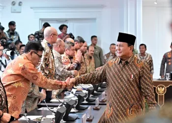 Menteri Sisa Jokowi dalam Kabinet Prabowo