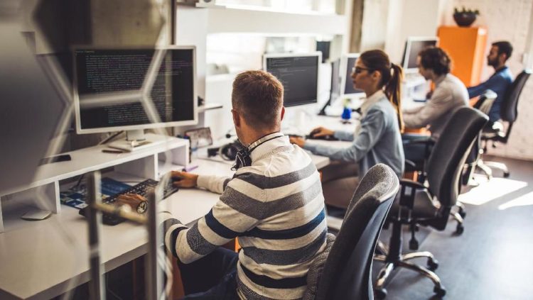 Tahapan Magang Gaji UMP untuk Fresh Graduate S1 dan D3