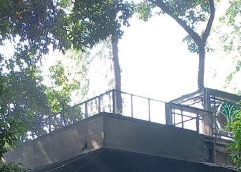 Harapan dari Kafe di Arboretum Kemenhut yang Terbakar dan Terjadi Penjarahan