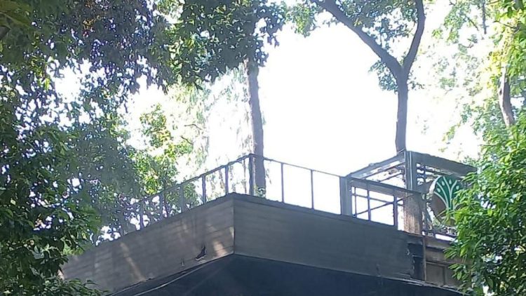 Harapan dari Kafe di Arboretum Kemenhut yang Terbakar dan Terjadi Penjarahan