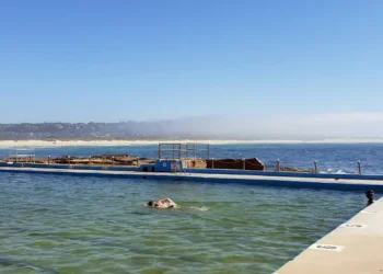 Peselancar Tewas Akibat Serangan Hiu, Pantai Segera Ditutup