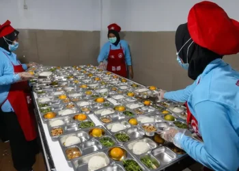 Temuan Penting Mengenai Keracunan Massal dari Konsumsi Makanan Bergizi Gratis