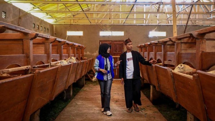 Setengah Juta Pengusaha UMKM Tingkatkan Kelas Berkat Penyaluran KUR