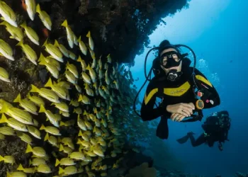 Berenang dan Menyelam di Laut Dengan Tabir Surya Terlarang di Thailand Terancam Denda Besar
