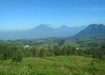 10 Rekomendasi Tempat Makan Enak di Kopeng dengan Pemandangan Sejuk 2025