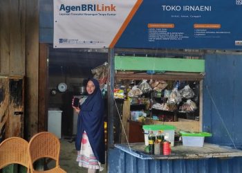 Perkuat Inklusi Keuangan di Papua, AgenBRILink Penggerak Ekonomi Lokal