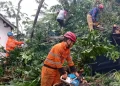 Cuaca Ekstrem di Bogor Mengakibatkan Dua Pohon Tumbang dan Kerusakan pada Mobil serta Gedung