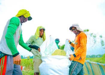 DPR Anggap Kebijakan Pangan Prabowo Meningkatkan Kesejahteraan Petani