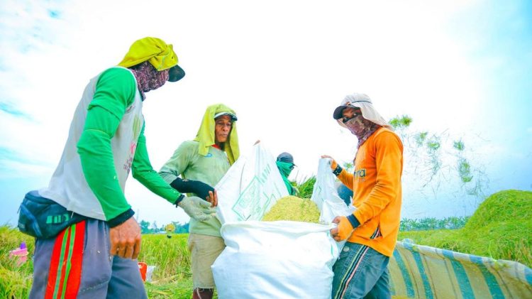 DPR Anggap Kebijakan Pangan Prabowo Meningkatkan Kesejahteraan Petani