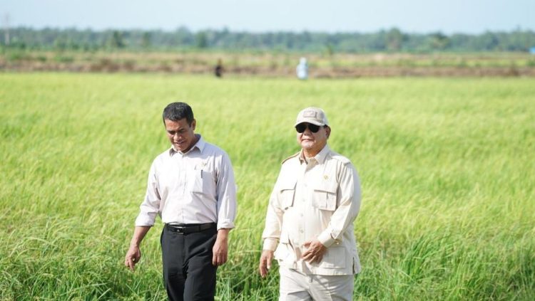 Mentan Ungkap Tiga Bulan Lagi RI Akan Hentikan Impor Beras