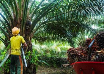 Jual 2 Anak Usaha, ANJT Raup Pendapatan Besar