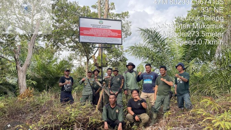 Operasi Merah Putih untuk Pemulihan Rumah Gajah Sumatera di Seblat Lanjut, 2390 Hektare Lahan Direbut Lagi