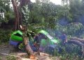 Hujan dan Angin Kencang di Bogor Akibatkan Pohon Tumbang Timpa Angkot hingga Ringsek