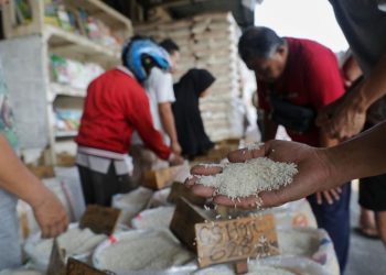 Tim Khusus Bapanas dan Bulog Awasi Harga Beras di 51 Daerah