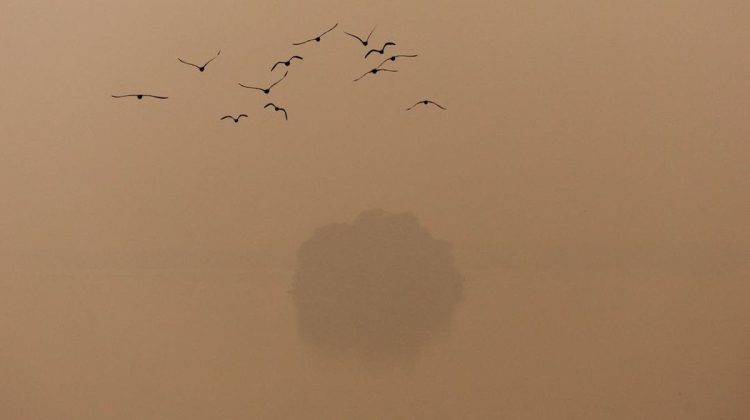 Kabut Polusi Melanda New Delhi India