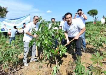 Hijaukan Hulu, Penanaman Ratusan Pohon Produktif di Bogor