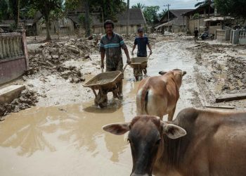 Usulan Lahan Hunian Sementara bagi Korban Bencana oleh Pemkab Aceh Tamiang menurut BNPB