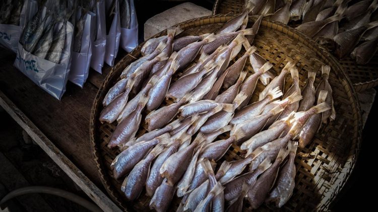 6 Resep Lezat Ikan Asin Jambal yang Menggugah Selera Makan