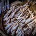 6 Resep Lezat Ikan Asin Jambal yang Menggugah Selera Makan