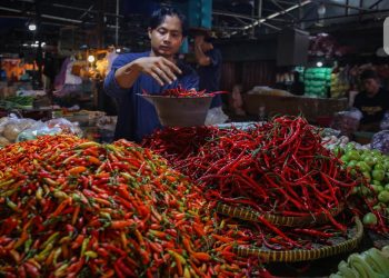 Harga Bahan Pokok Menjelang Natal dan Tahun Baru, Cabai serta Beras Menjadi Sorotan