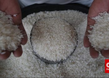 Redam Lonjakan Harga, 1200 Ton Beras Murah Disalurkan di Papua