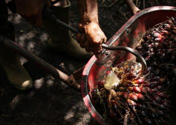 Pengembangan EBT: PTPN IV Percepat Proyek Fasilitas CBG