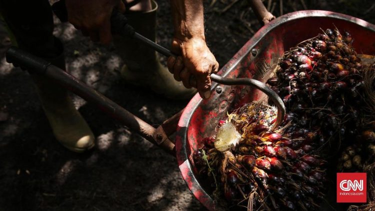 Pengembangan EBT: PTPN IV Percepat Proyek Fasilitas CBG