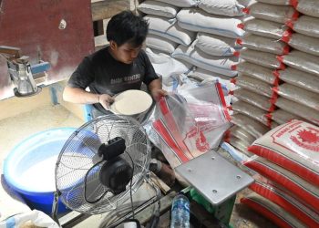 Harga Beras dan Minyak Goreng Aman Jelang Tahun Baru 2026 Menurut Bulog