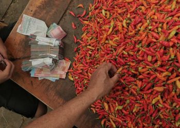 Defisit 519 Ton Cabai dan 669 Ton Bawang Putih di Sulsel Jelang Nataru