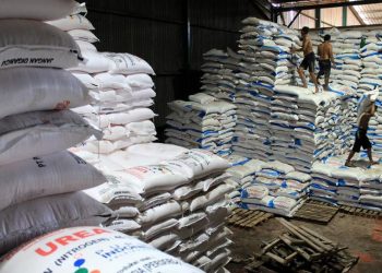 Digitalisasi Pupuk Permudah Akses Petani terhadap Pupuk Subsidi