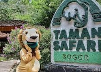 Pemilik Taman Safari Indonesia Bogor yang Ramai Pada Musim Libur