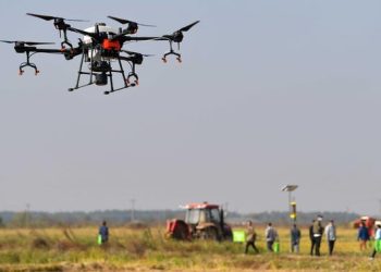 Sentuhan Digital Ubah Kebun Pir Yulu di Tiongkok Utara Jadi Pertanian Cerdas