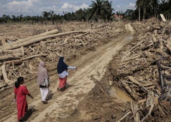 Pemerintah Salurkan Rp93 Miliar untuk UMKM Terdampak Bencana di Sumatra