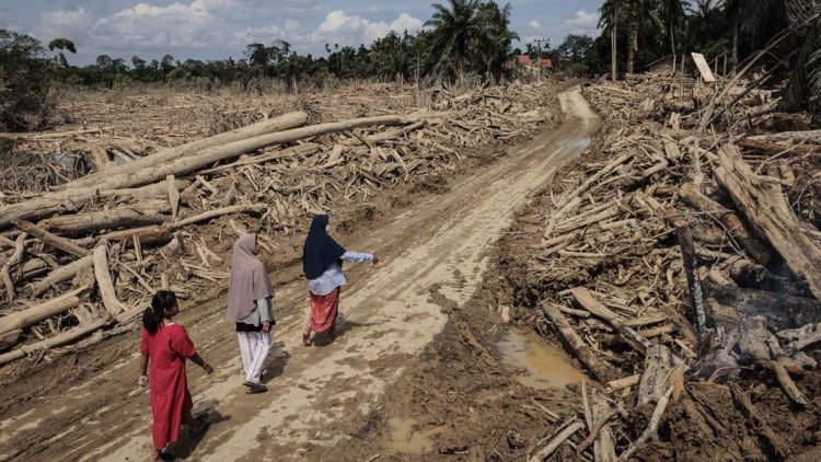 Pemerintah Salurkan Rp93 Miliar untuk UMKM Terdampak Bencana di Sumatra