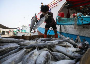 Permintaan Tambahan Rp1,7 T untuk Memulihkan Sektor Perikanan di Sumatra