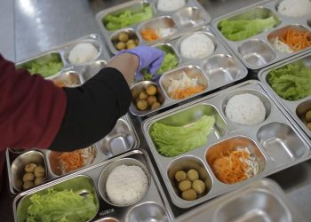 Pastikan Penggunaan Beras Premium untuk MBG Menurut Bos Bulog