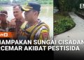 Penampakan Sungai Cisadane yang Tercemar Akibat Kebakaran Gudang Pestisida